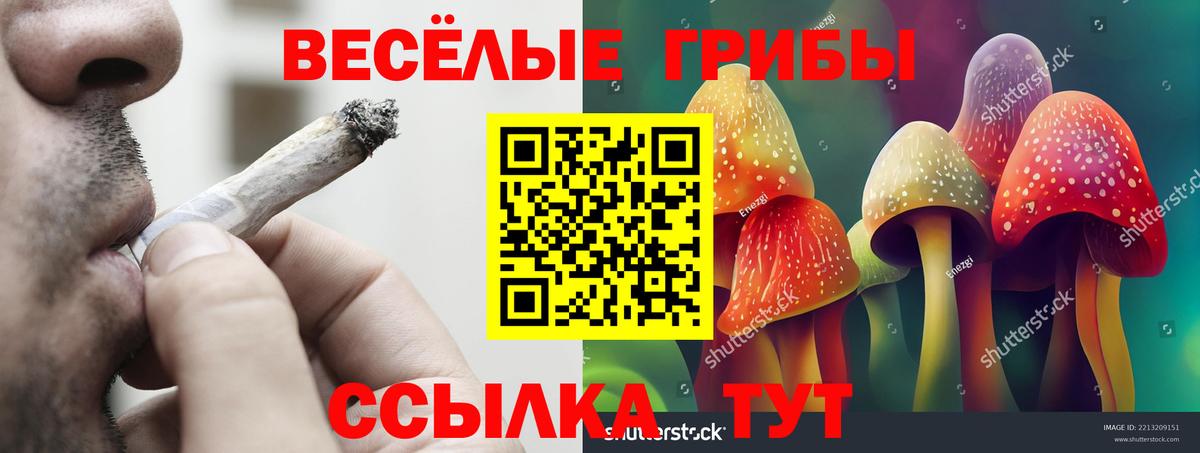 Псилоцибиновые грибы MAGIC MUSHROOMS Углич