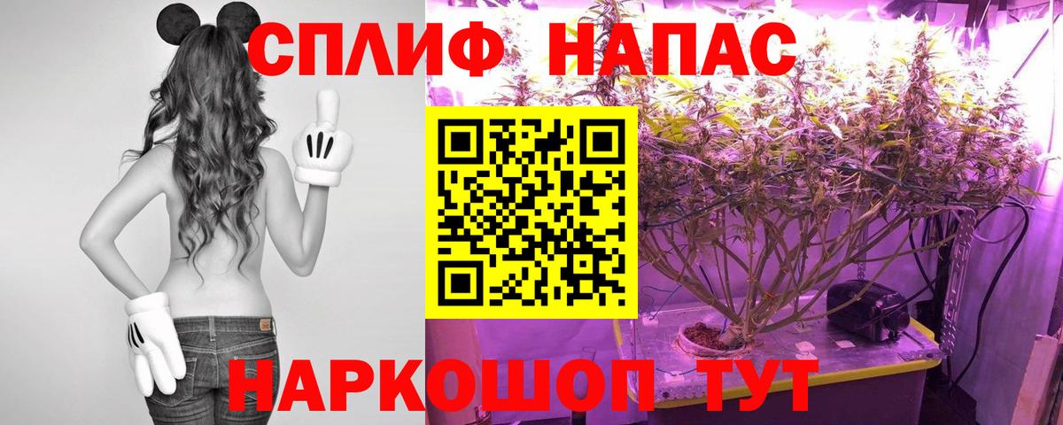 Бошки марихуана конопля  Марихуана ГИДРОПОН  Шишки марихуана Bruce Banner  Углич  Шишки марихуана Ganja  Вход с VPN 